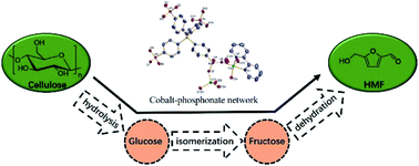 Graphical abstract: Efficient conversion of cellulose to 5-hydroxymethylfurfural catalyzed by a cobalt-phosphonate catalyst