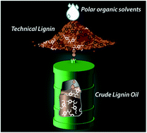 Graphical abstract: Mild thermolytic solvolysis of technical lignins in polar organic solvents to a crude lignin oil