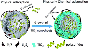 Graphical abstract: Hollow C@TiO2 array nanospheres as efficient sulfur hosts for lithium–sulfur batteries