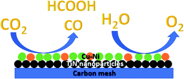 Graphical abstract: Titanium nitride-supported Cu–Ni bifunctional electrocatalysts for CO2 reduction and the oxygen evolution reaction