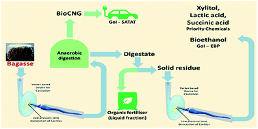 Graphical abstract: Sugarcane bagasse based biorefineries in India: potential and challenges