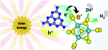 Graphical abstract: Polymeric carbon nitride coupled with a molecular thiomolybdate catalyst: exciton and charge dynamics in light-driven hydrogen evolution