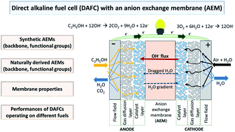 Graphical abstract: Alkaline membrane fuel cells: anion exchange membranes and fuels