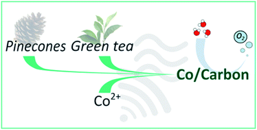 Graphical abstract: Improving the electrocatalytic performance of sustainable Co/carbon materials for the oxygen evolution reaction by ultrasound and microwave assisted synthesis