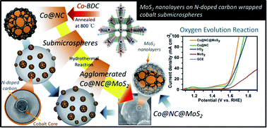 Graphical abstract: Ultrathin MoS2 wrapped N-doped carbon-coated cobalt nanospheres for OER applications