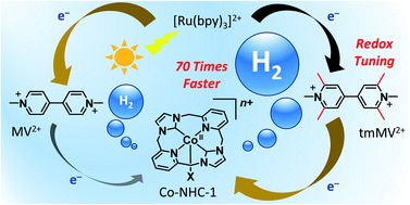 Graphical abstract: Improving the overall performance of photochemical H2 evolution catalyzed by the Co-NHC complex via the redox tuning of electron relays