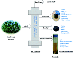 Graphical abstract: Influence of process conditions on hydrothermal liquefaction of eucalyptus biomass for biocrude production and investigation of the inorganics distribution