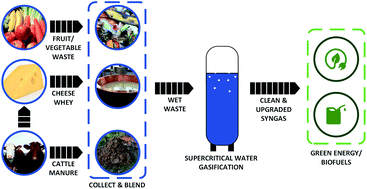 Graphical abstract: Supercritical water gasification of wet biomass residues from farming and food production practices: lab-scale experiments and comparison of different modelling approaches