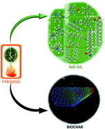 Graphical abstract: Bio-oil and biochar production from halophyte biomass: effects of pre-treatment and temperature on Salicornia bigelovii pyrolysis