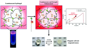 Graphical abstract: Photoluminescent polymer hydrogels with stimuli-responsiveness constructed from Eu-containing polyoxometalate and imidazolium zwitterions