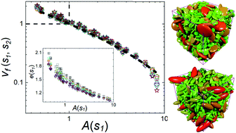Graphical abstract: Structural universality in disordered packings with size and shape polydispersity