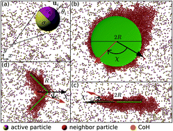 Graphical abstract: Different-shaped micro-objects driven by active particle aggregations