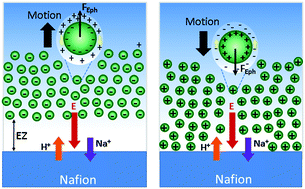 Graphical abstract: Electrophoretic origin of long-range repulsion of colloids near water/Nafion interfaces