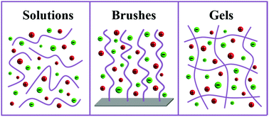 Graphical abstract: Ionic effects on synthetic polymers: from solutions to brushes and gels