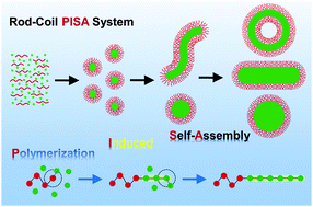 Graphical abstract: Rod–coil block copolymer aggregates via polymerization-induced self-assembly