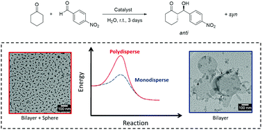 Graphical abstract: Polymorphism of asymmetric catalysts based on amphiphilic lipopeptides in solution