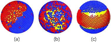 Graphical abstract: Binary mixtures of active and passive particles on a sphere