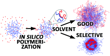 Graphical abstract: Simulation of interpenetrating networks microgel synthesis