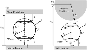 Graphical abstract: Modeling atomic force microscopy and shell mechanical properties estimation of coated microbubbles