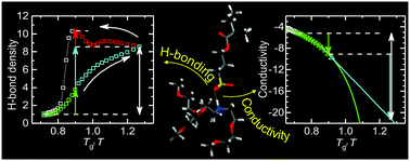 Graphical abstract: Hydrogen bonding and charge transport in a protic polymerized ionic liquid