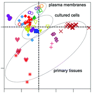 Graphical abstract: Lipidomic atlas of mammalian cell membranes reveals hierarchical variation induced by culture conditions, subcellular membranes, and cell lineages