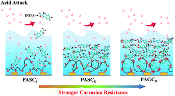 Graphical abstract: Controlling DOPA adsorption via interacting with polyelectrolytes: layer structure and corrosion resistance