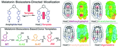 Graphical abstract: Classical and non-classical melatonin receptor agonist-directed micellization of bipyridinium-based supramolecular amphiphiles in water