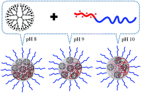 Graphical abstract: Dendrimicelles with pH-controlled aggregation number of core-dendrimers and stability