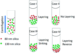 Graphical abstract: Layering of bidisperse charged nanoparticles in sedimentation