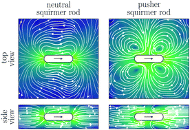 Graphical abstract: Squirmer rods as elongated microswimmers: flow fields and confinement