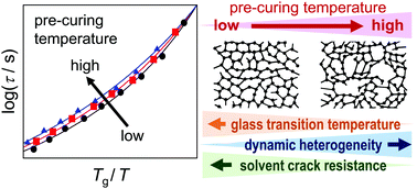 Graphical abstract: Effect of a heterogeneous network on glass transition dynamics and solvent crack behavior of epoxy resins