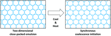 Graphical abstract: Catastrophic thermal destabilization of two-dimensional close-packed emulsions due to synchronous coalescence initiation