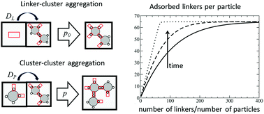 Graphical abstract: Smoluchowski equations for linker-mediated irreversible aggregation