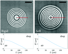 Graphical abstract: Droplet impacts onto soft solids entrap more air