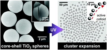 Graphical abstract: Light-powered active colloids from monodisperse and highly tunable microspheres with a thin TiO2 shell