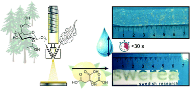 Graphical abstract: A solution blown superporous nonwoven hydrogel based on hydroxypropyl cellulose