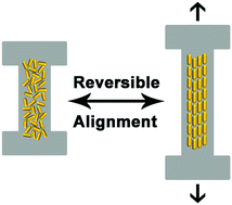 Graphical abstract: Gold nanorod impact on mechanical properties of stretchable hydrogels