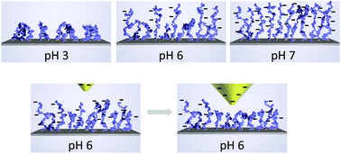 Graphical abstract: Weak polyelectrolyte brushes: re-entrant swelling and self-organization