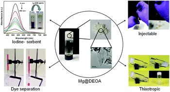 Graphical abstract: A thixotropic supramolecular metallogel with a 2D sheet morphology: iodine sequestration and column based dye separation