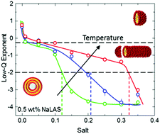 Graphical abstract: Micellar structure and transformations in sodium alkylbenzenesulfonate (NaLAS) aqueous solutions: effects of concentration, temperature, and salt