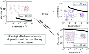 Graphical abstract: Contributions from microstructural changes to the rheological behavior of casein dispersions during drying