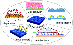 Graphical abstract: Recent advances on porous interfaces for biomedical applications