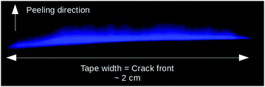 Graphical abstract: How heat controls fracture: the thermodynamics of creeping and avalanching cracks
