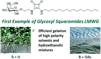 Graphical abstract: Glycosyl squaramides, a new class of supramolecular gelators