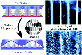 Graphical abstract: Hierarchical assembly of smectic liquid crystal defects at undulated interfaces
