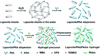 Graphical abstract: A facile approach to obtain highly tough and stretchable LAPONITE®-based nanocomposite hydrogels