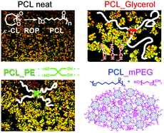 Graphical abstract: Synthesis, crystallization, and molecular mobility in poly(ε-caprolactone) copolyesters of different architectures for biomedical applications studied by calorimetry and dielectric spectroscopy