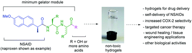 Graphical abstract: Exploring the properties and potential biomedical applications of NSAID-capped peptide hydrogels