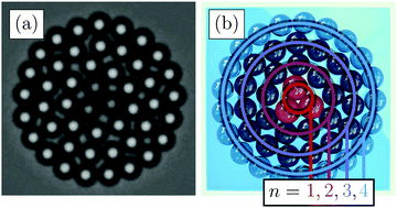 Graphical abstract: Dynamical modes of sheared confined microscale matter