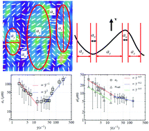 Graphical abstract: Shear-induced polydomain structures of nematic lyotropic chromonic liquid crystal disodium cromoglycate